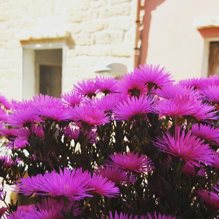 B&B Cinisi Vacanze Kültér fotó
